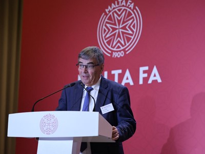 MFA General Assembly_Ludovico.jpg