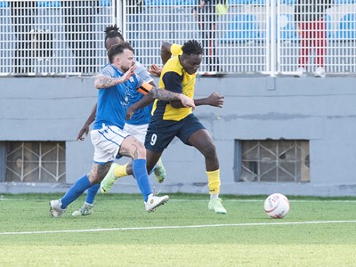 MLH SVL.jpg