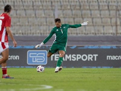 MLT 1-4 BIH (11).jpeg