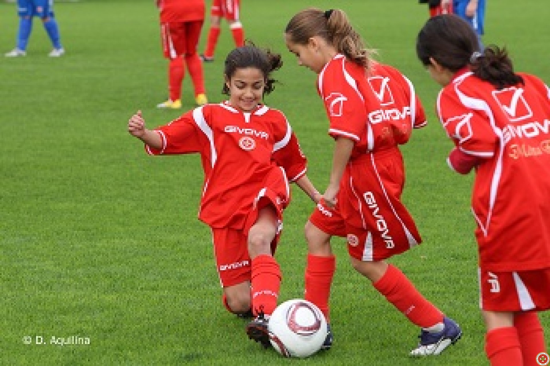 image2 (6)