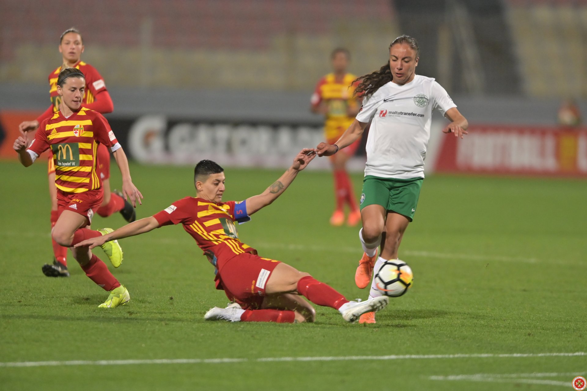 image2 (33)