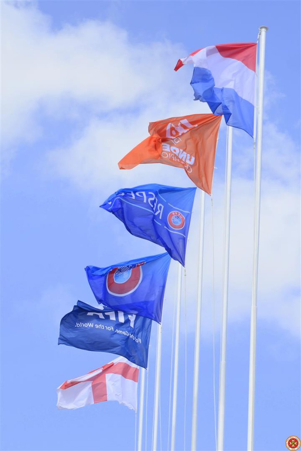 image2 (33)