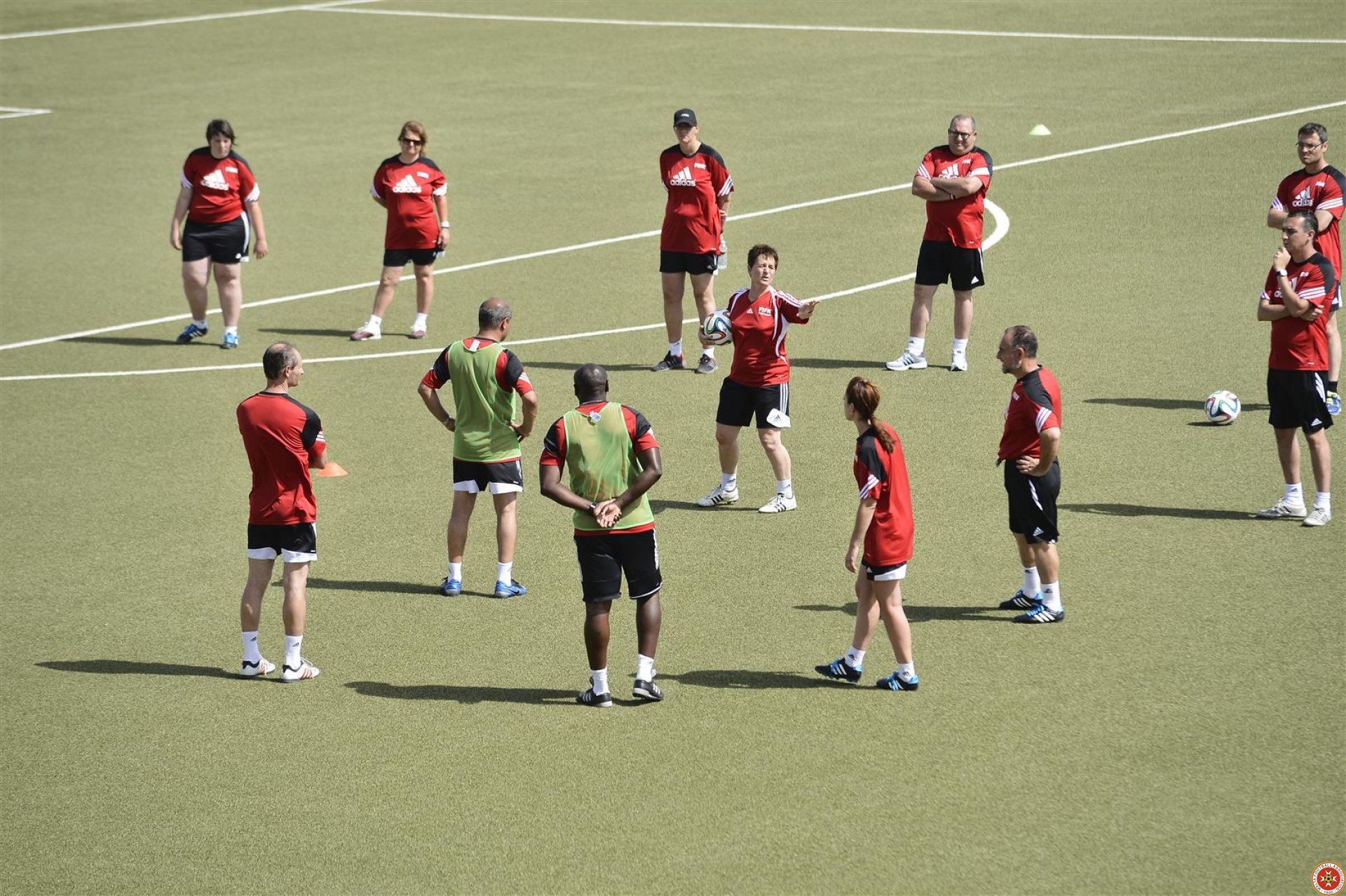 image2 (33)